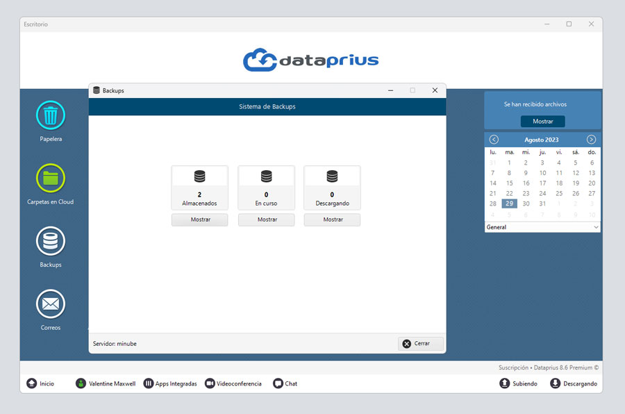 Captura de pantalla de backups Dataprius